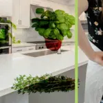 Plant Girl Era Activated: The Top 5 Kitchen Herbs You Can Grow at Home