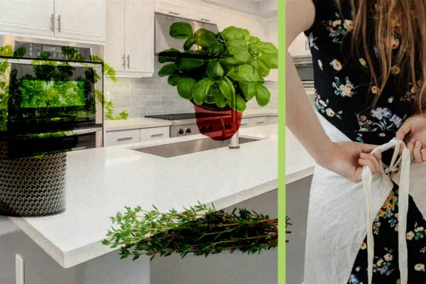 Plant Girl Era Activated: The Top 5 Kitchen Herbs You Can Grow at Home